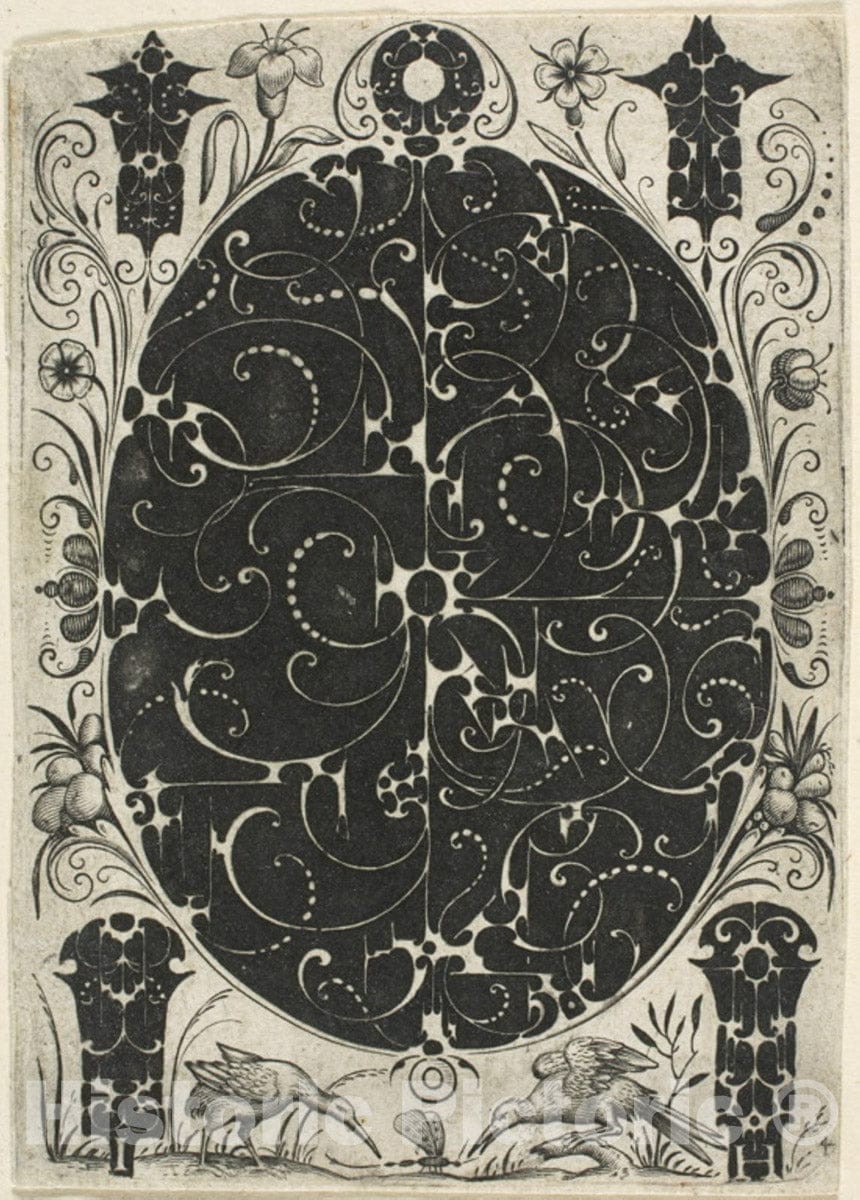 Art Print : Ornamental Plate IV, Jacques Hurtu, c.1749, Vintage Wall Decor :