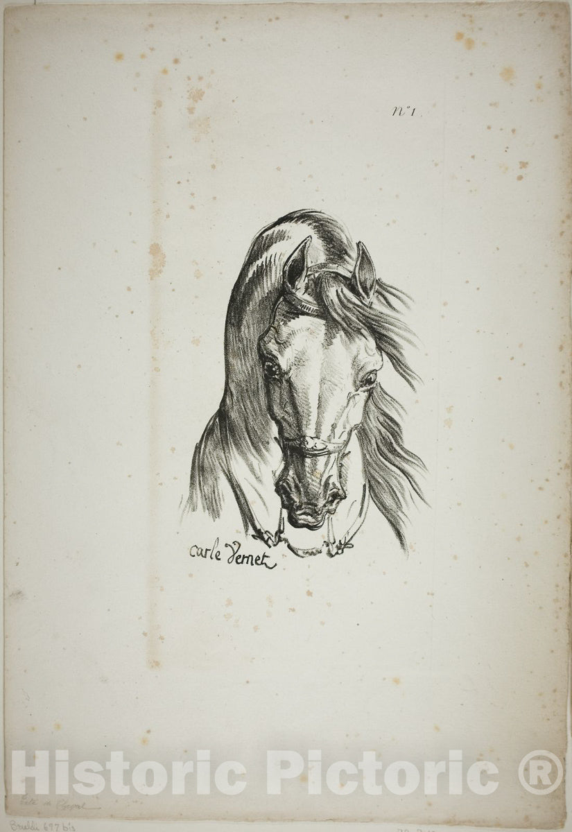 Art Print : Detail of Horses Head, Enlarged to Triple Size, Norman Royal Guard, No. 1, Carle Vernet, c 1813, Vintage Wall Decor :