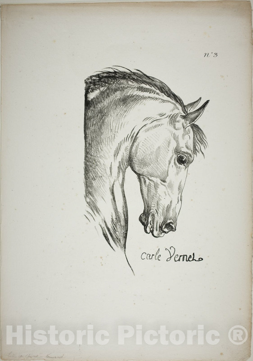 Art Print : Detail of Horses Head, Enlarged to Triple Size, Norman Royal Guard, No. 3, Carle Vernet, c 1817, Vintage Wall Decor :