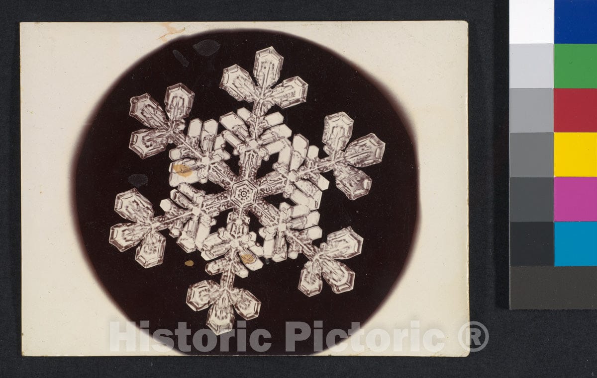 Photo Print : Wilson Alwyn Bentley - Snow Crystal 8 : Vintage Wall Art