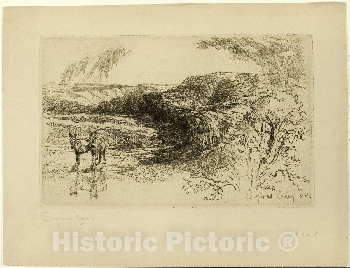 Art Print : Encombe Woods, No. II, Francis Seymour Haden, c 1860, Vintage Wall Decor :