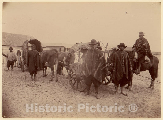 Photo Print : Group of Indians with Cart and Oxen : Vintage Wall Art
