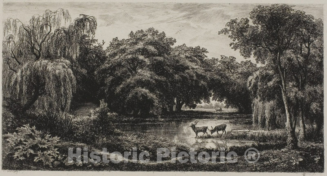 Art Print : Marsh with Stags, Charles FranÃ§ois Daubigny, c 1859, Vintage Wall Decor :
