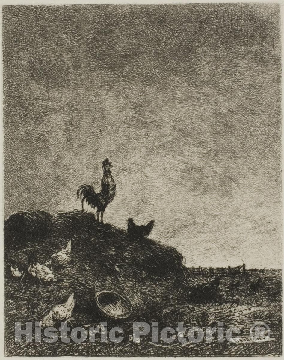 Art Print : Dawn (The Cocks Crow), Charles FranÃ§ois Daubigny, c 1652, Vintage Wall Decor :
