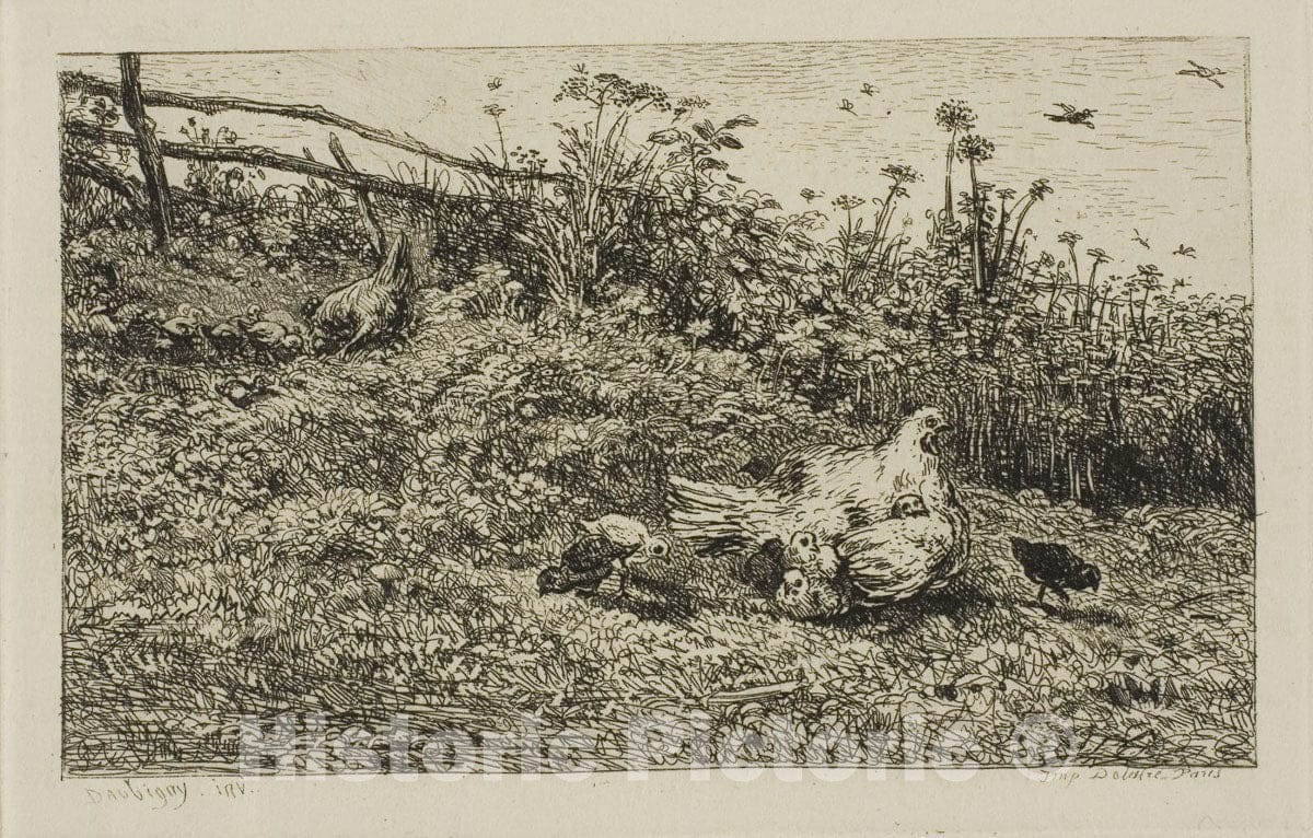 Art Print : The Hen and her Chicks, Charles FranÃ§ois Daubigny, c 1911, Vintage Wall Decor :