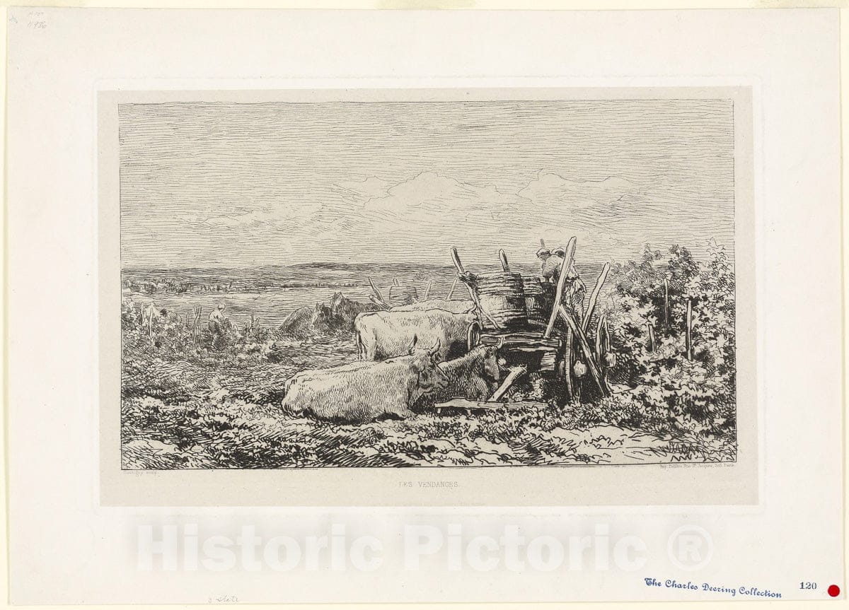 Art Print : The Vintage (Souvenir of the Morvan), Charles FranÃ§ois Daubigny, c 1938, Vintage Wall Decor :