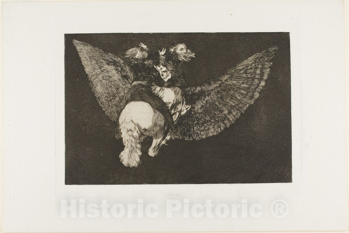 Art Print : Renounce the Friend Who Covers You with His Wings and Bites You with His Beak, plate five from Los Proverbios, Francisco Goya, c.1939, Vintage Wall Decor :