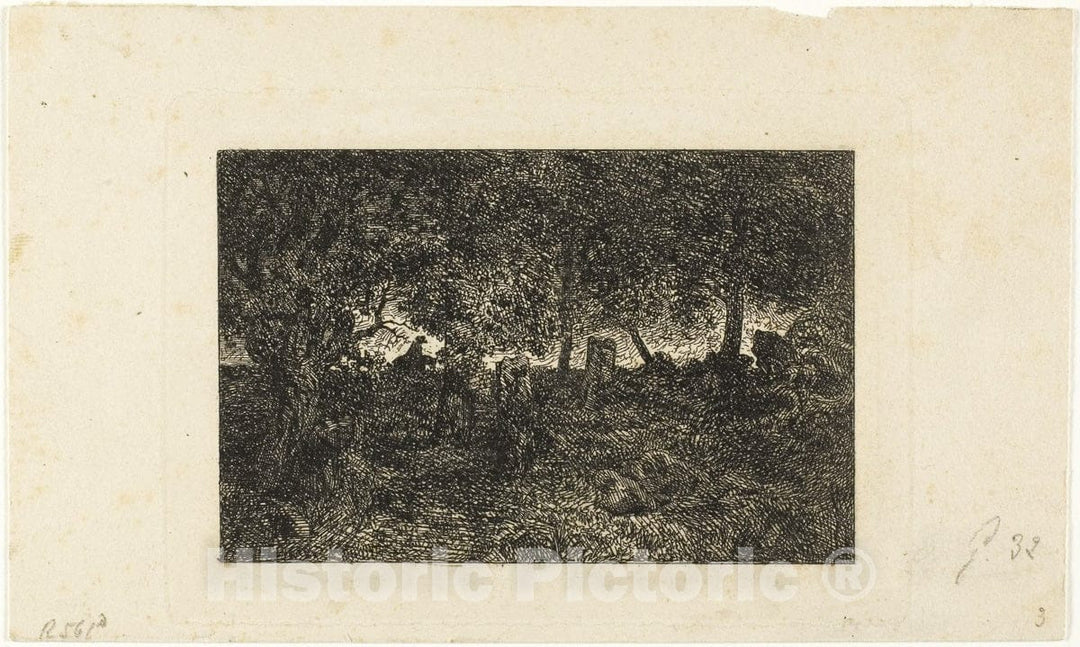Art Print : In the Forest, Charles emile Jacque, c.1913, Vintage Wall Decor :