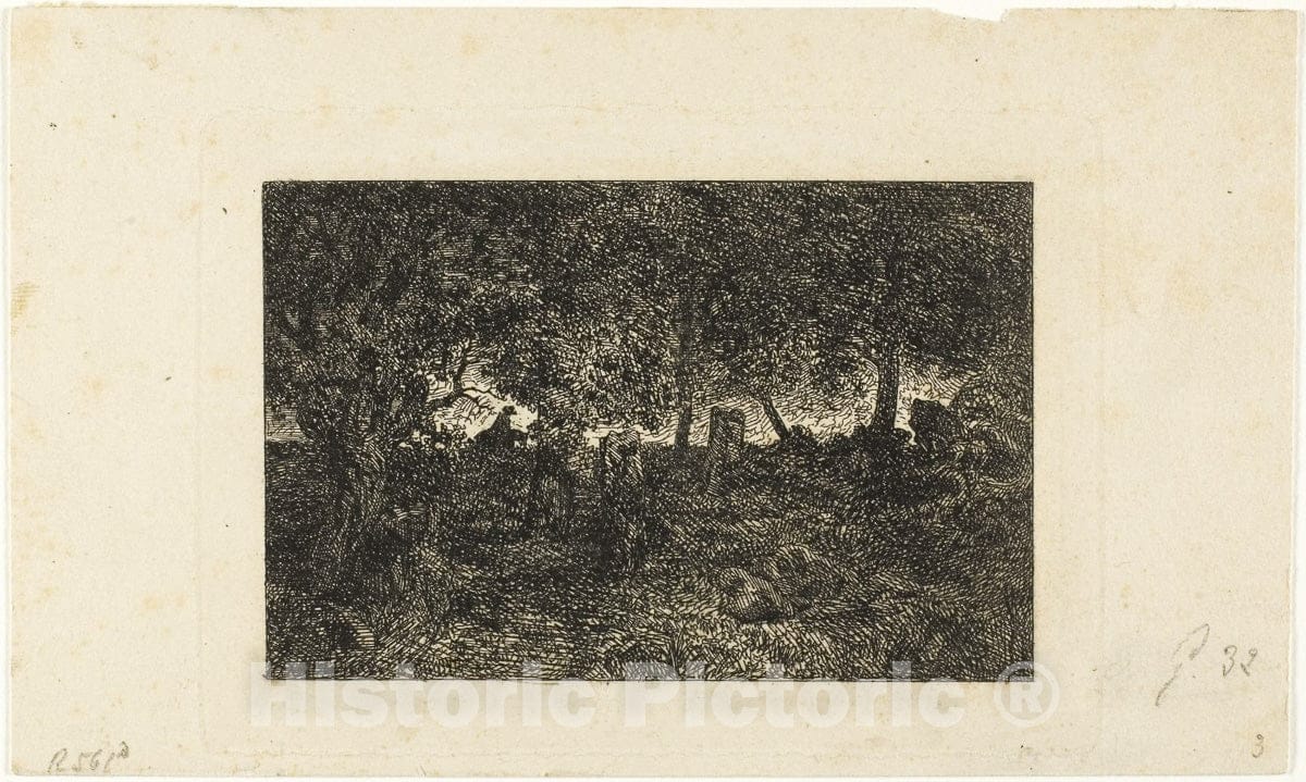 Art Print : In the Forest, Charles emile Jacque, c.1913, Vintage Wall Decor :