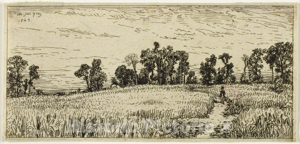 Art Print : Wheat Field, Charles emile Jacque, c 1907, Vintage Wall Decor :