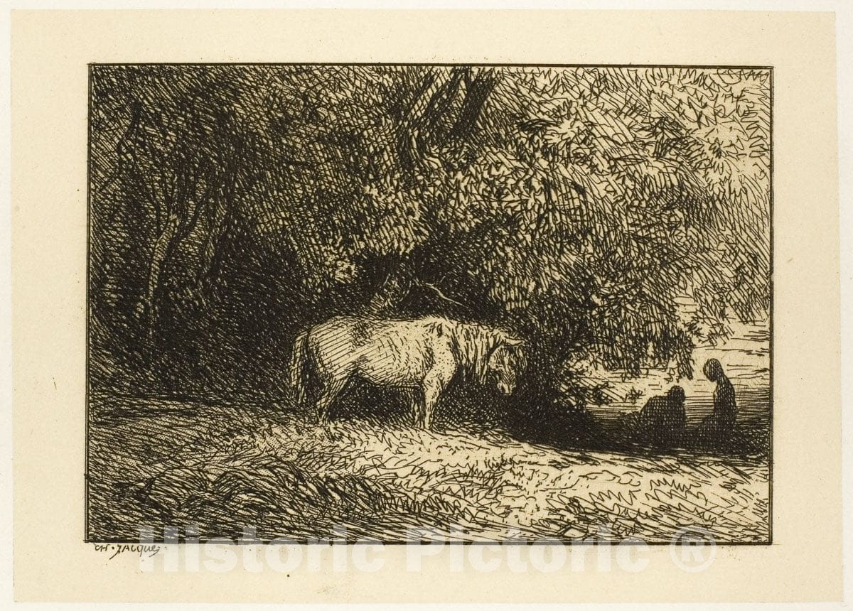 Art Print : Horse in a Wood, Charles emile Jacque, c.1885, Vintage Wall Decor :