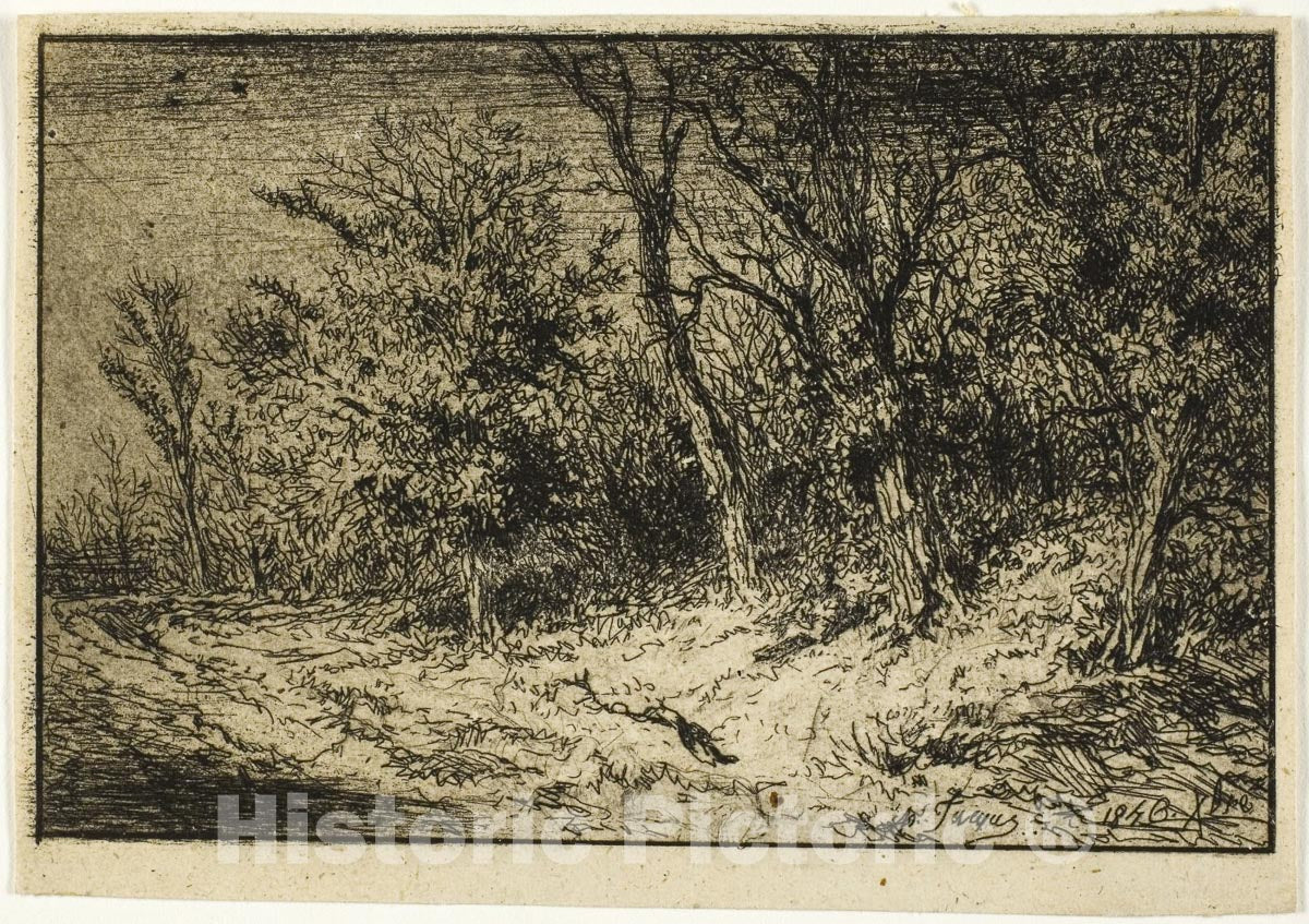 Art Print : Road at the Edge of a Wood, Charles emile Jacque, c.1652, Vintage Wall Decor :