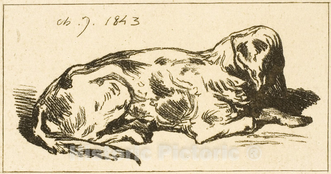 Art Print : Lying Dog, Charles emile Jacque, c 1821, Vintage Wall Decor :