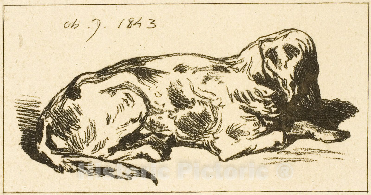 Art Print : Lying Dog, Charles emile Jacque, c 1821, Vintage Wall Decor :