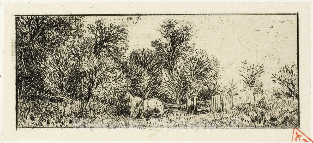 Art Print : Two Horses in a Wood, Charles emile Jacque, c 1863, Vintage Wall Decor :