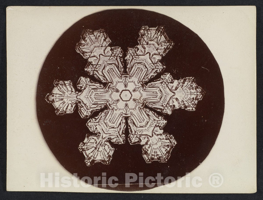 Photo Print : Wilson Alwyn Bentley - Snow Crystal 9 : Vintage Wall Art