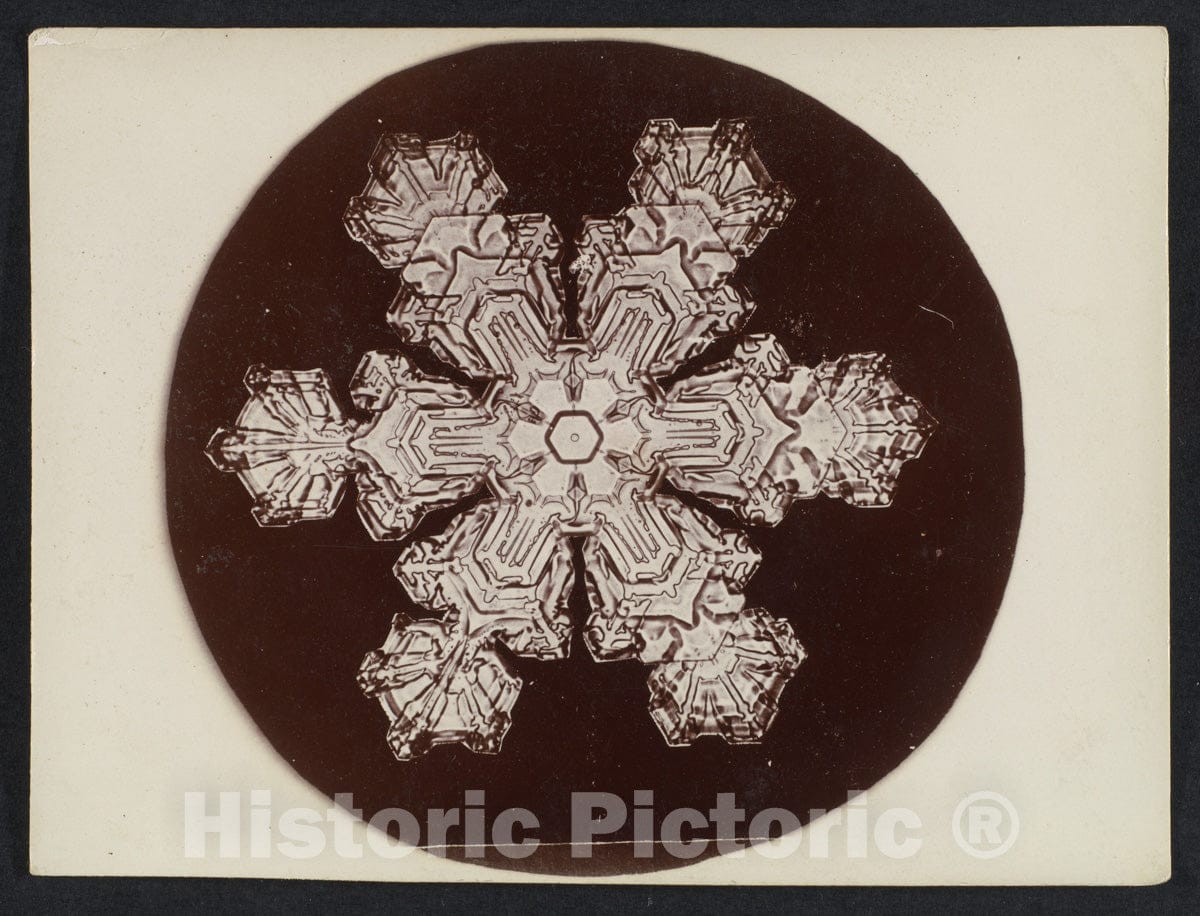 Photo Print : Wilson Alwyn Bentley - Snow Crystal 9 : Vintage Wall Art
