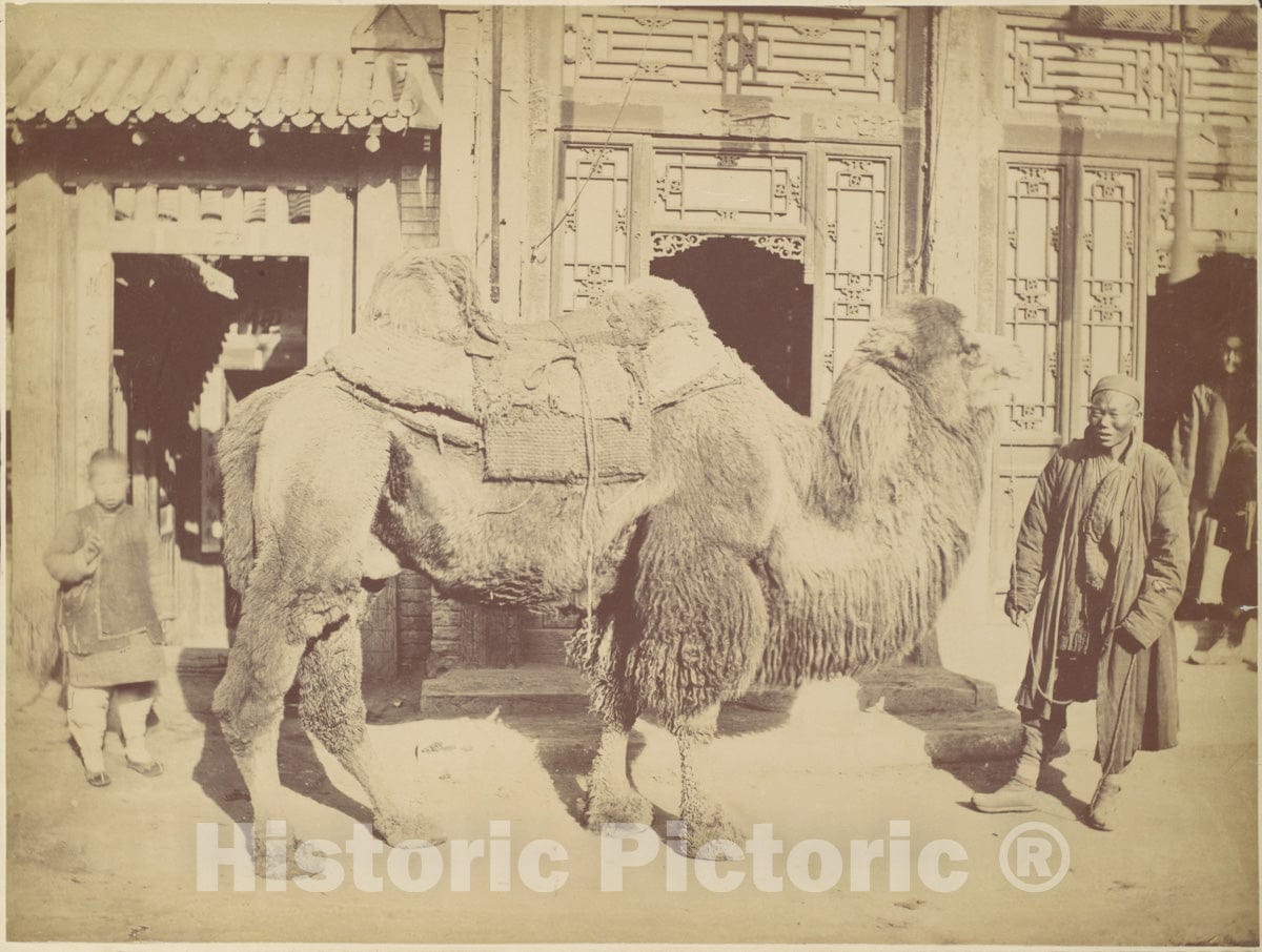 Photo Print : Lai Fong - Pekin. No. 923 : Vintage Wall Art