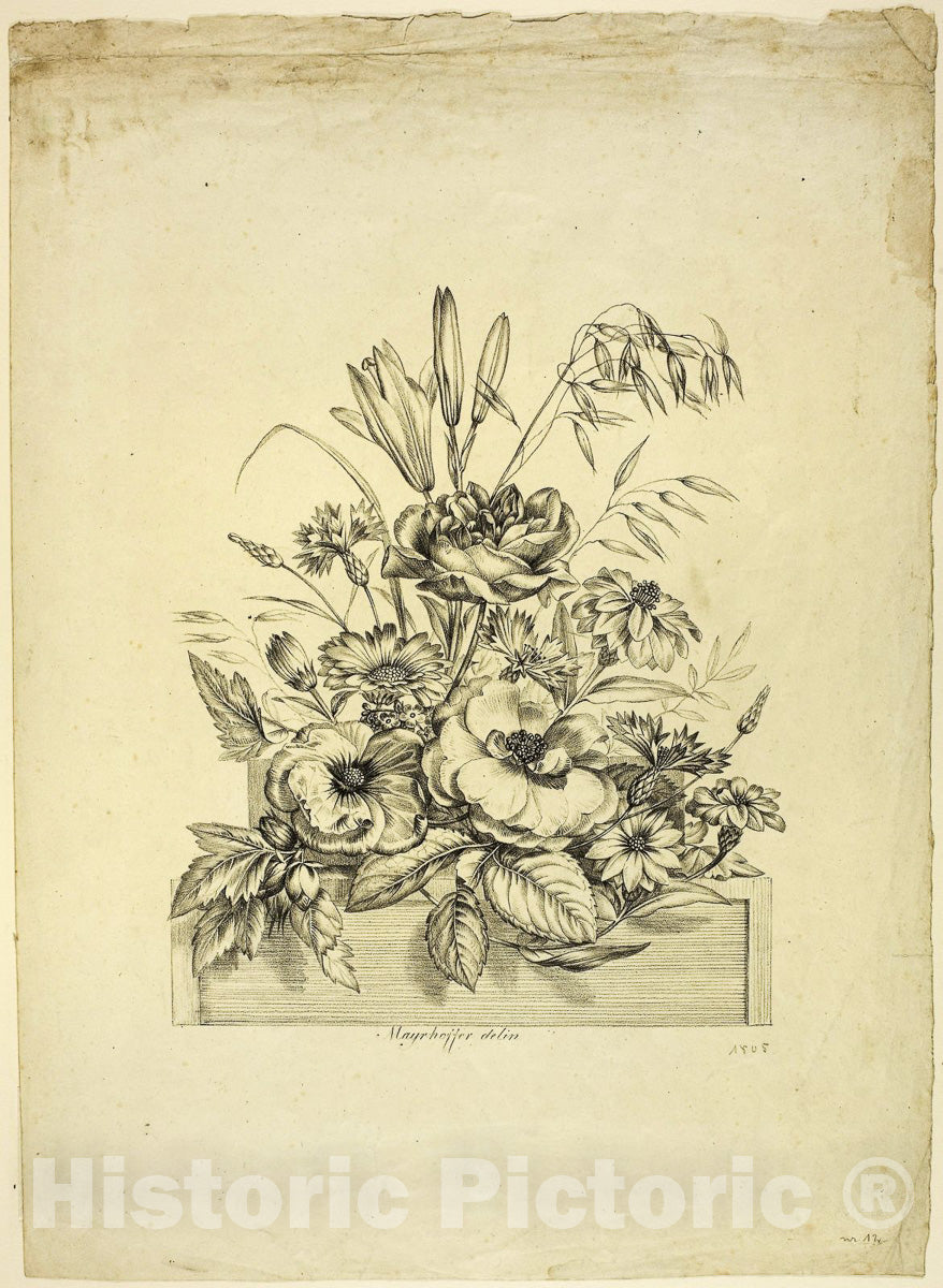 Art Print : Flower Piece, Johann Nepomuk Mayrhoffer, c.1585, Vintage Wall Decor :