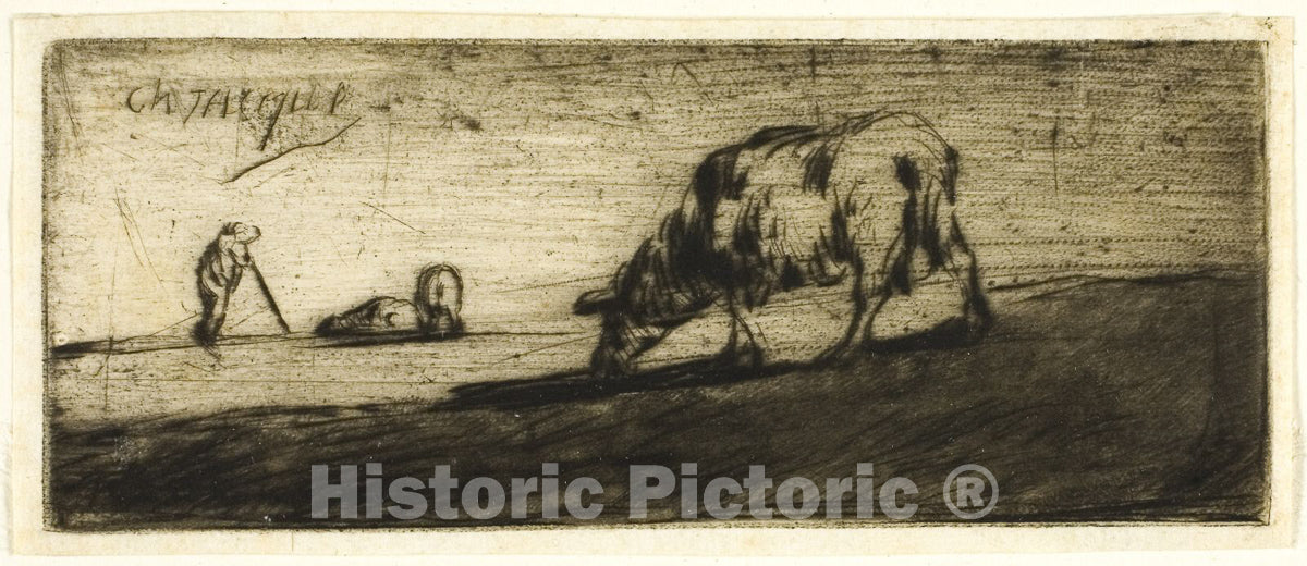 Art Print : A Sheep Grazing, Jean FranÃ§ois Millet, c.1651, Vintage Wall Decor :