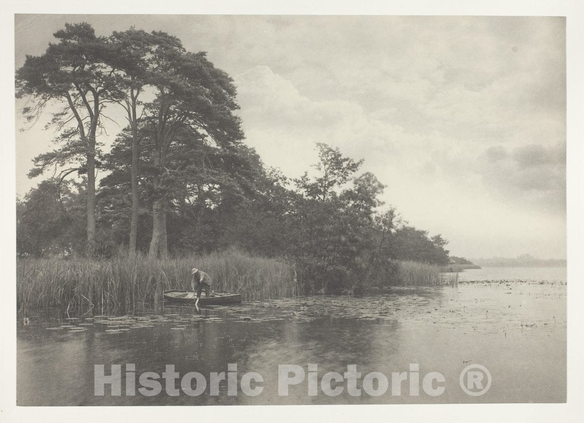 Art Photo : The Haunt of the Pike, Peter Henry Emerson, c 1886, Vintage Wall Decor :