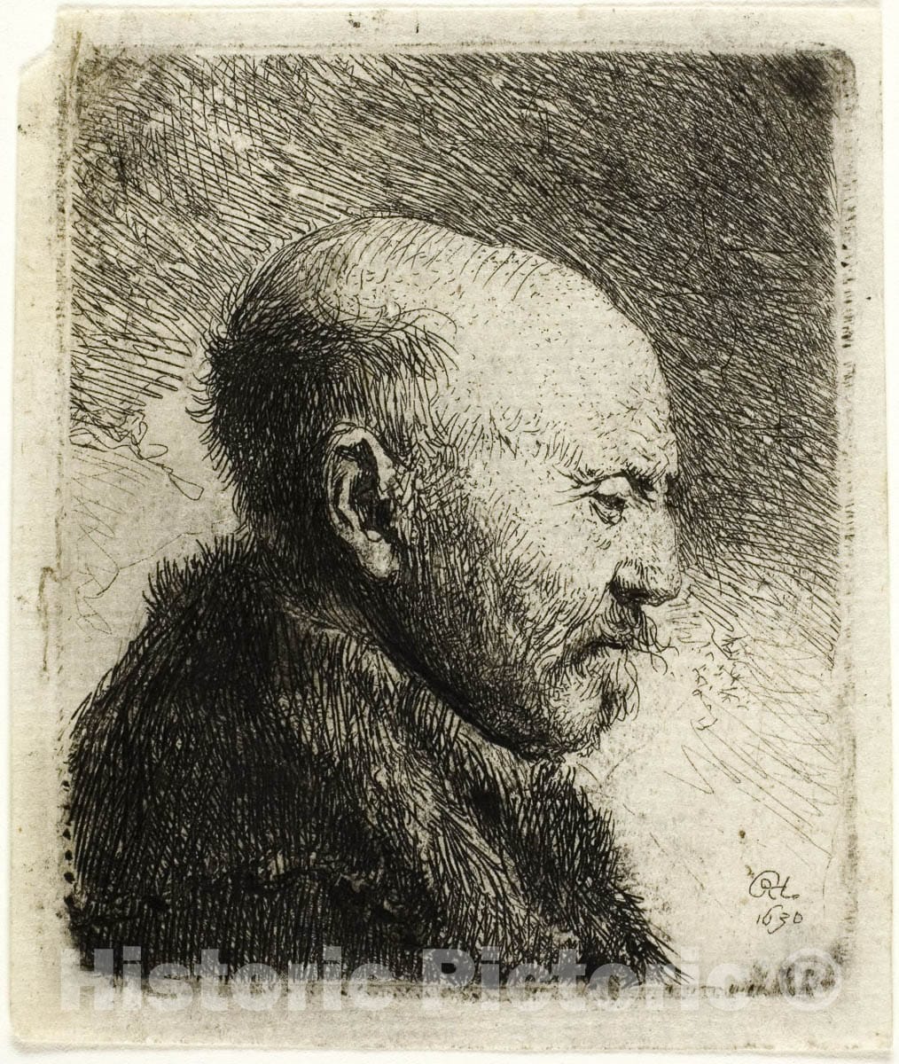Art Print : Bald Headed Man in Profile Right: The Artists Father (?), Rembrandt Harmenszoon Van Rijn, c.1739, Vintage Wall Decor :