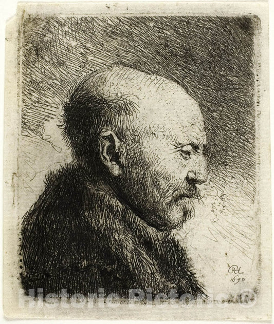Art Print : Bald Headed Man in Profile Right: The Artists Father (?), Rembrandt Harmenszoon Van Rijn, c.1739, Vintage Wall Decor :