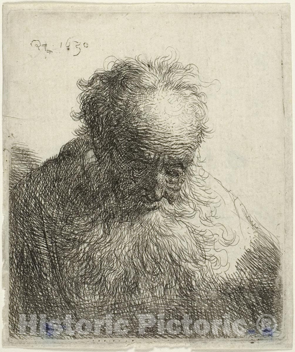 Art Print : Bust of an Old Man with a Flowing Beard: The Head Bowed Forward: Left Shoulder Unshaded, Rembrandt Harmenszoon Van Rijn, c.1901, Vintage Wall Decor :