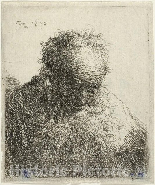 Art Print : Bust of an Old Man with a Flowing Beard: The Head Bowed Forward: Left Shoulder Unshaded, Rembrandt Harmenszoon Van Rijn, c.1901, Vintage Wall Decor :