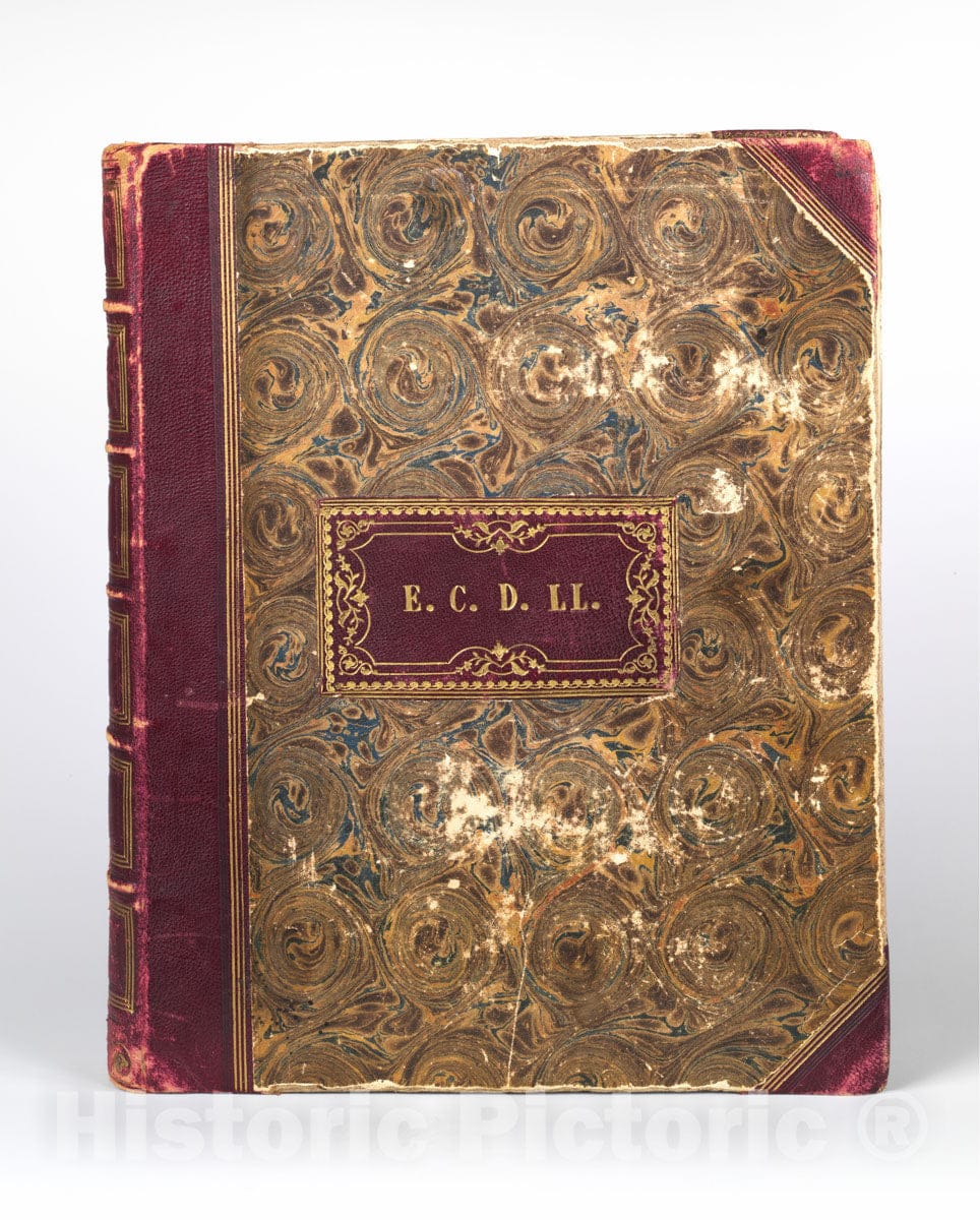 Art Print : John Dillwyn Llewelyn - Emma Charlotte Dillwyn Llewelyn's Album : Vintage Wall Art