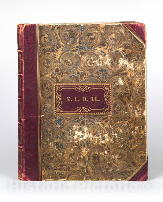 Art Print : John Dillwyn Llewelyn - Emma Charlotte Dillwyn Llewelyn's Album : Vintage Wall Art