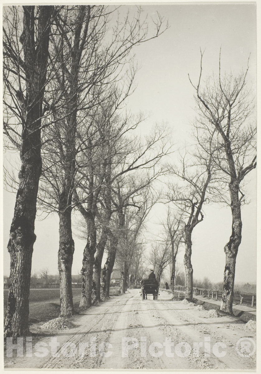 Art Photo : November Days, Alfred Stieglitz, 1887, Vintage Wall Decor :