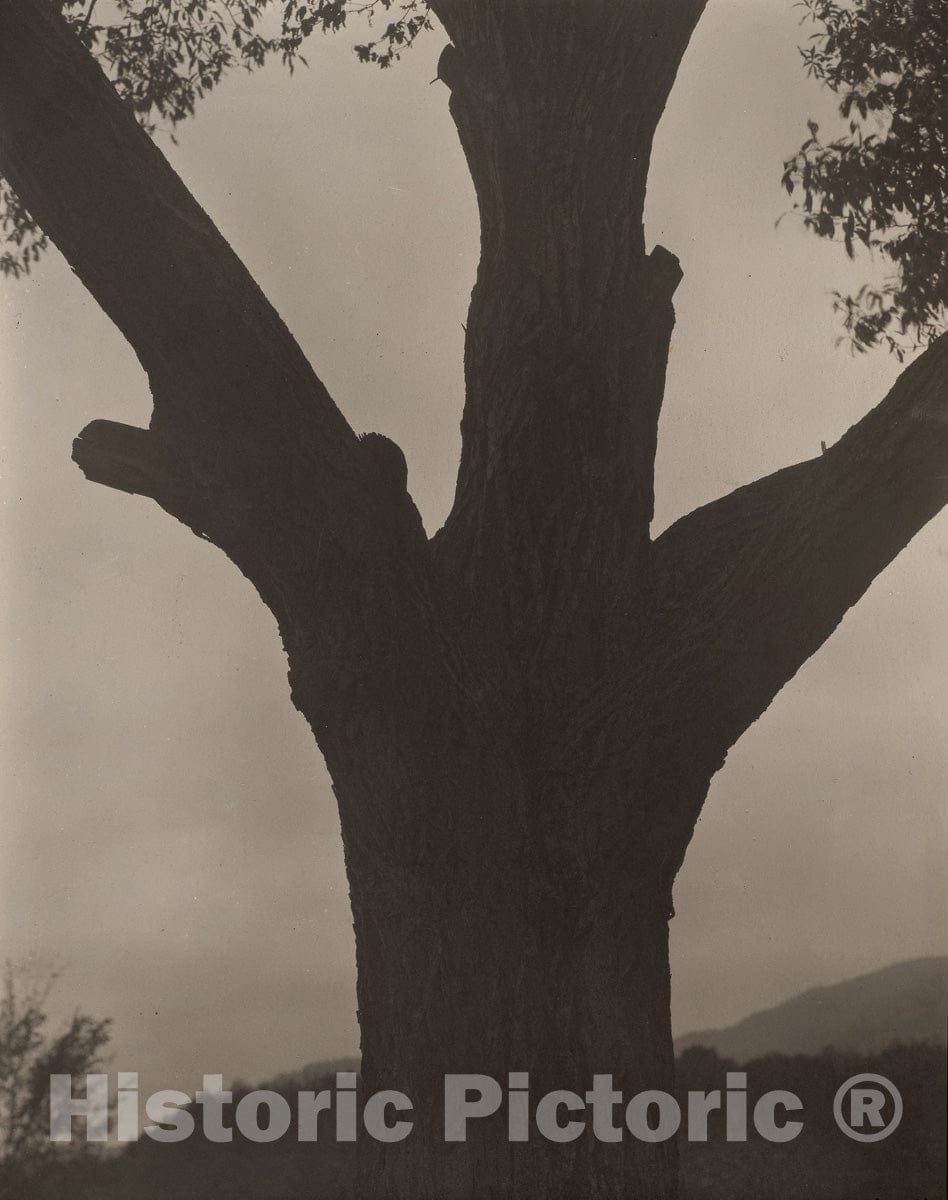 Dragable Image