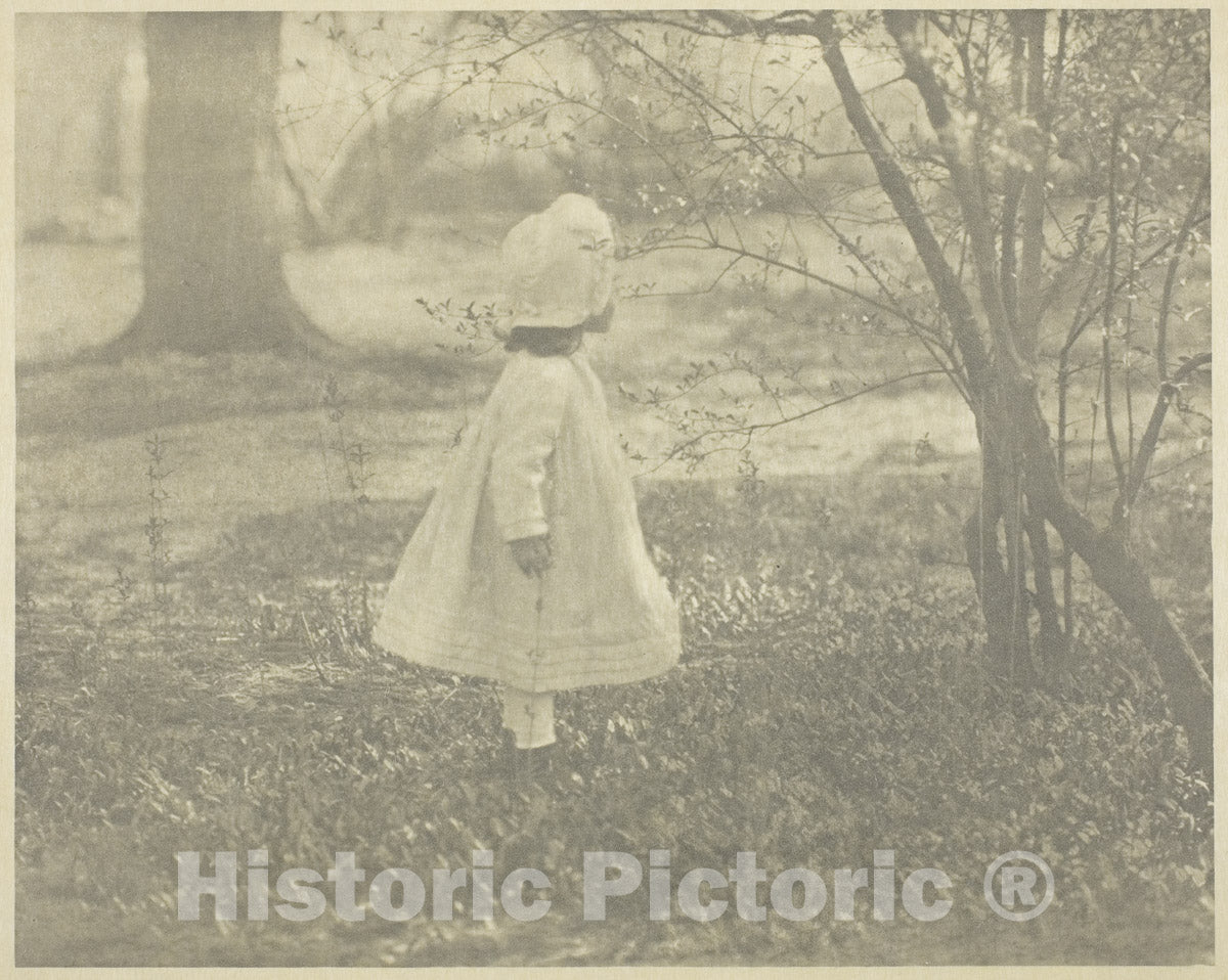 Art Photo : Spring - The Child, Alfred Stieglitz, c 1901, Vintage Wall Decor :