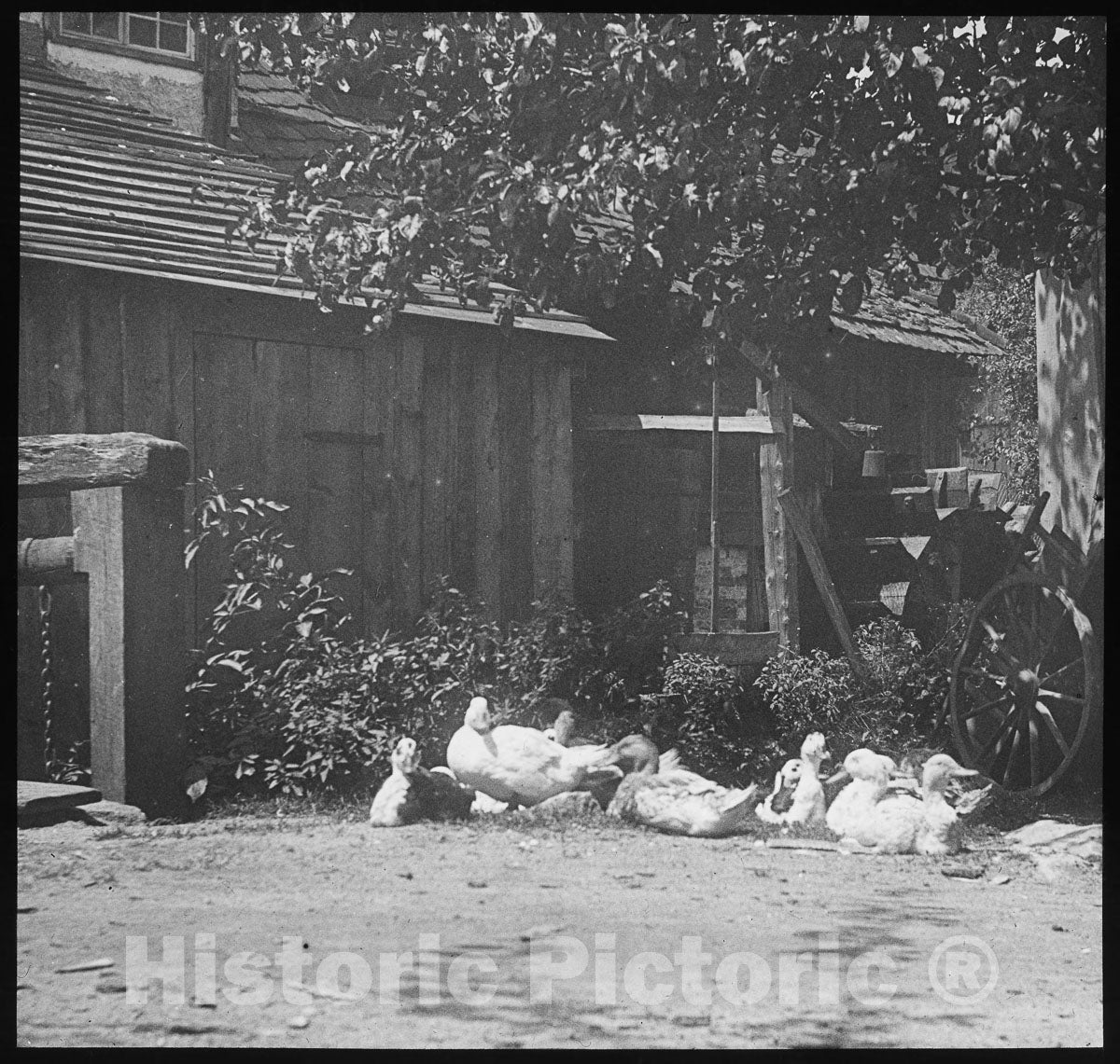 Art Photo : Gutach, Alfred Stieglitz, c 1893, Vintage Wall Decor :