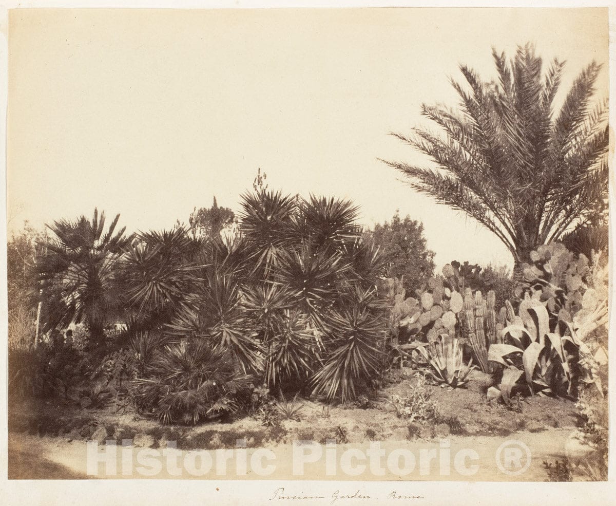 Photo Print : Possibly by Jane Martha St. John - Pincian Garden, Rome 2 : Vintage Wall Art
