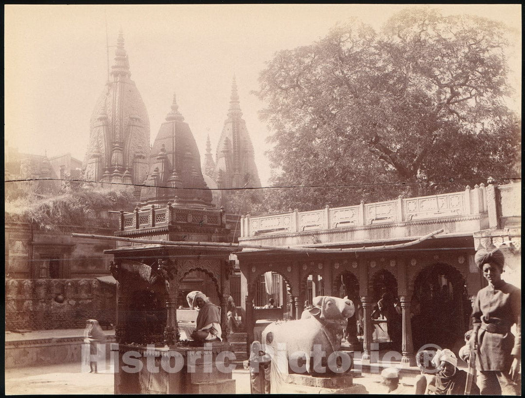Photo Print : Temple of The Golden Cow, Benares : Vintage Wall Art