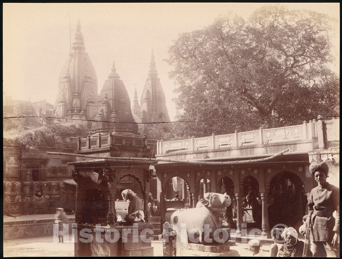 Photo Print : Temple of The Golden Cow, Benares : Vintage Wall Art