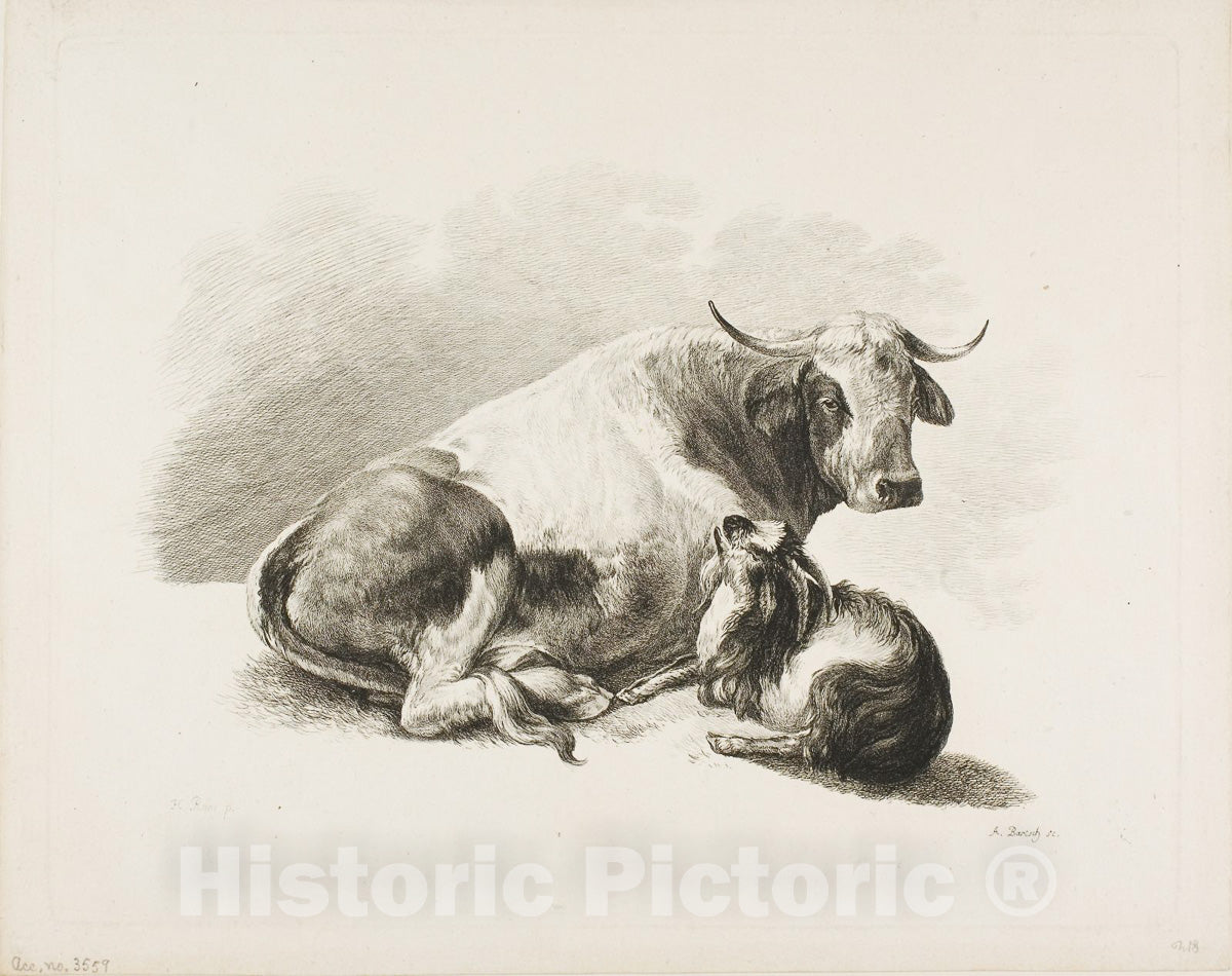Art Print : Animal Piece, Adam von Bartsch, c.1660, Vintage Wall Decor :