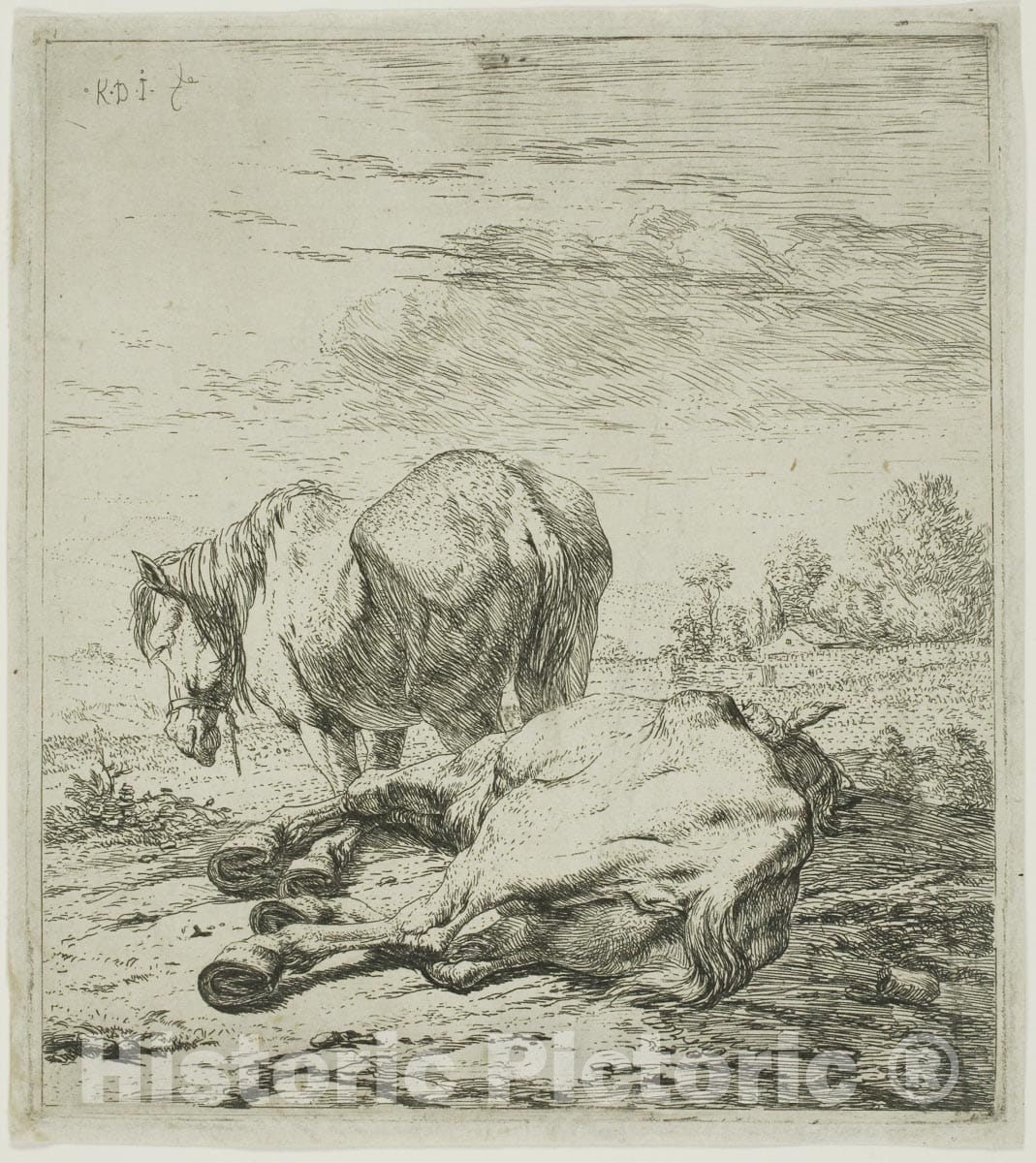 Art Print : Two Horses, Karel Dujardin, c.1660, Vintage Wall Decor :
