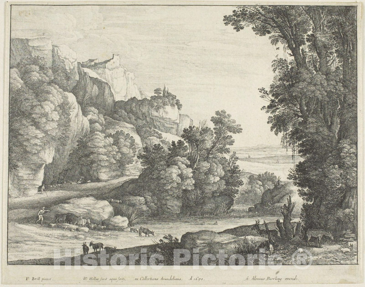 Art Print : Cattle Drinking, Wenceslaus Hollar, c 1891, Vintage Wall Decor :