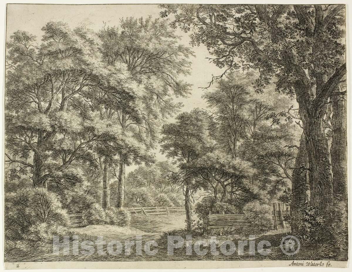 Art Print : The Parts of the Wood Newly Cut, Anthonie Waterloo, c.1893, Vintage Wall Decor :