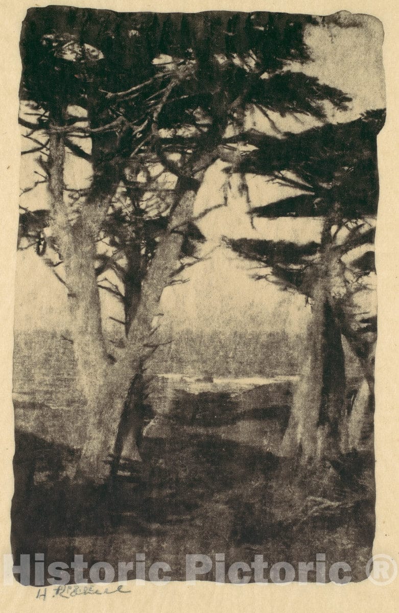 Photo Print : Henry Ravell - Cypress, Pebble Beach, California 4 : Vintage Wall Art