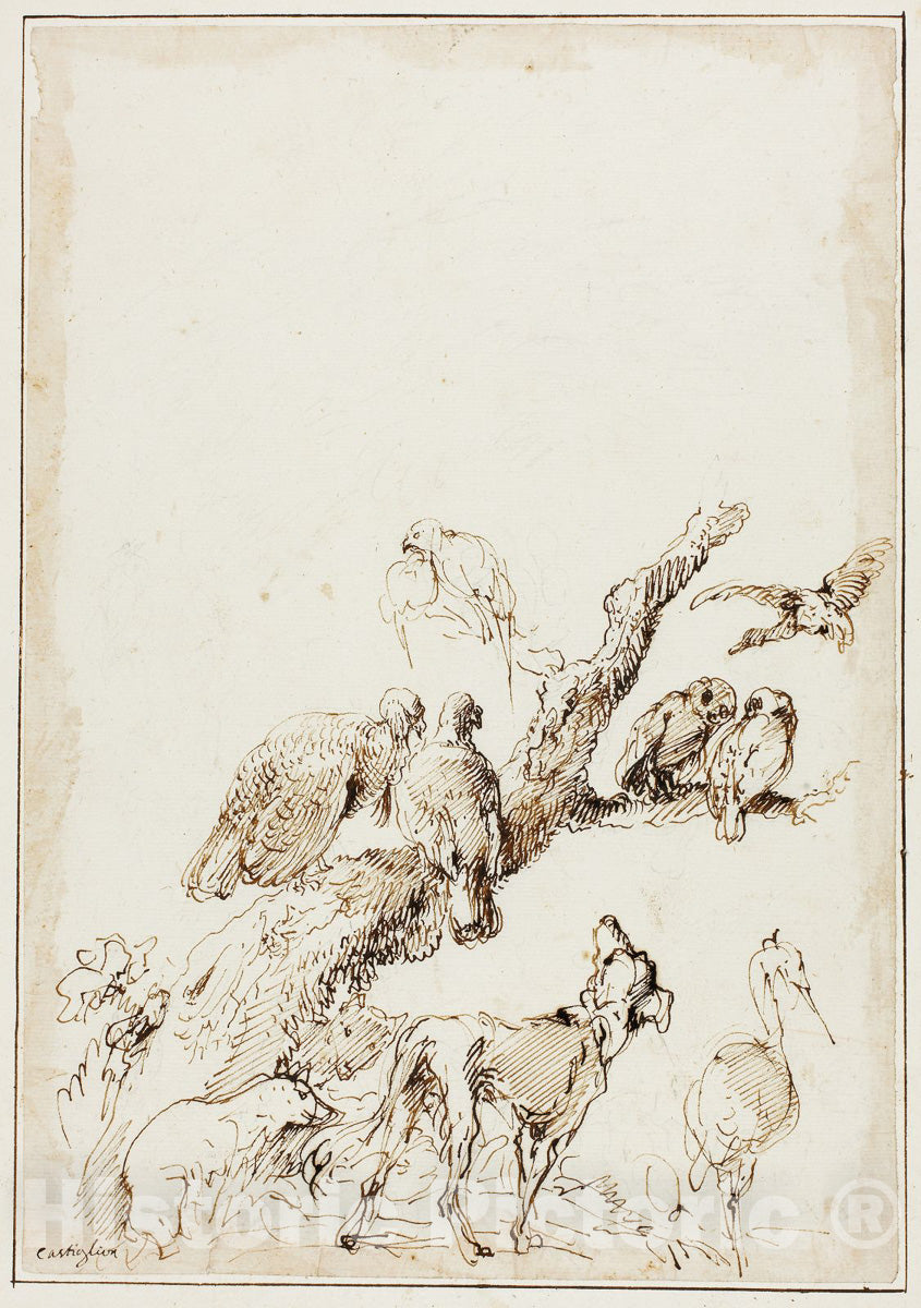 Art Print : Birds and Animals around a Dead Tree, Giovanni Benedetto Castiglione, c.1741, Vintage Wall Decor :