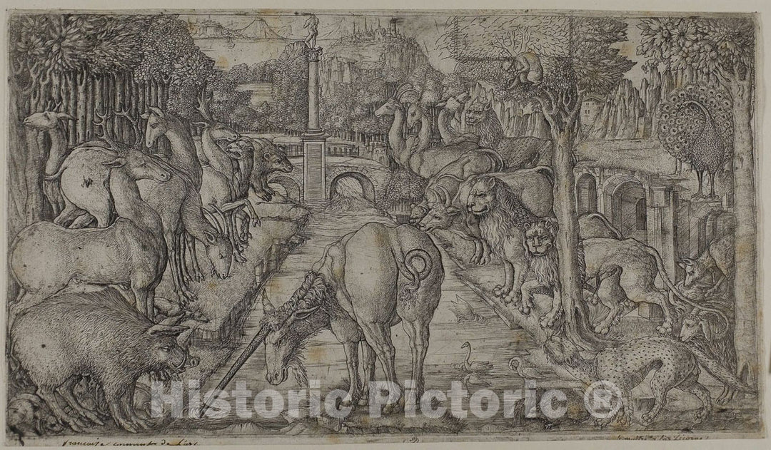 Art Print : The Unicorn Purifying a Source, Jean Duvet, c.1622, Vintage Wall Decor :