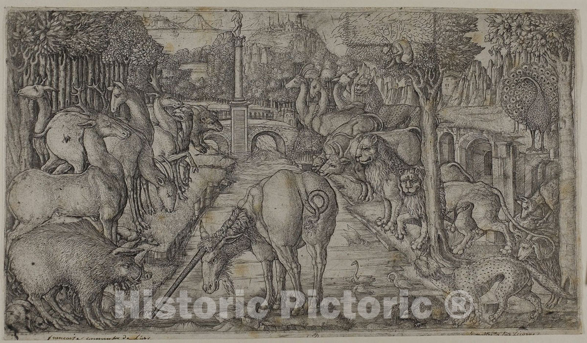 Art Print : The Unicorn Purifying a Source, Jean Duvet, c.1622, Vintage Wall Decor :