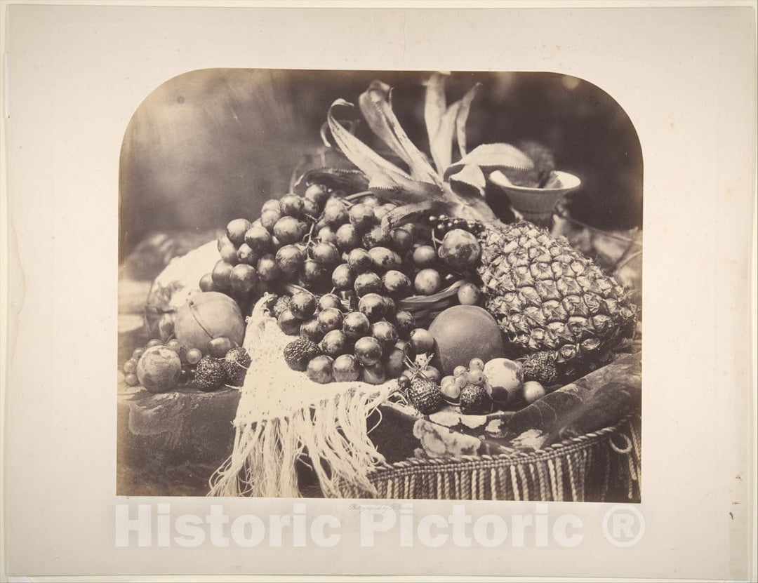 Photo Print : Roger Fenton - Still Life with Fruit : Vintage Wall Art