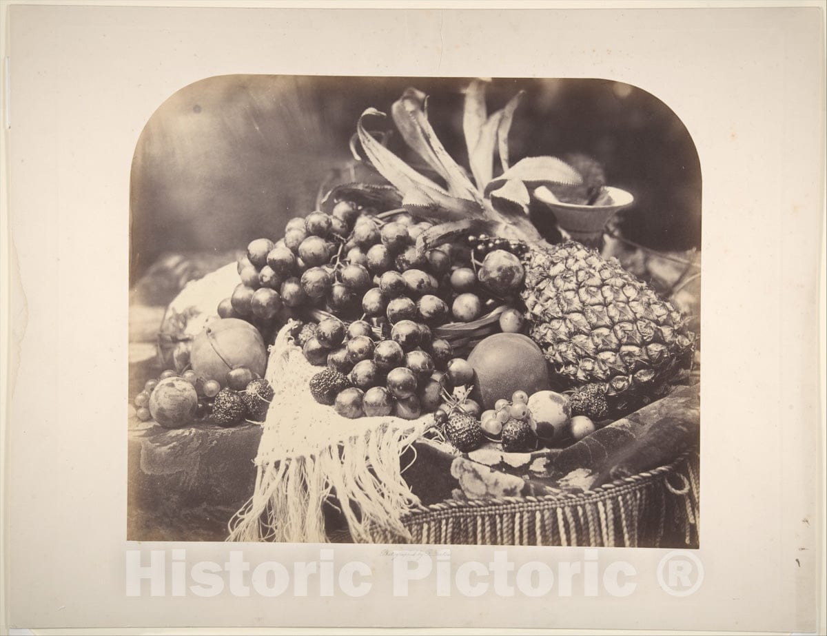 Photo Print : Roger Fenton - Still Life with Fruit : Vintage Wall Art