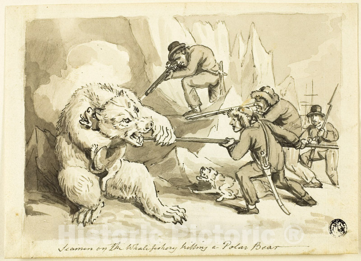 Art Print : Seamen on the Whale Fishery Killing a Polar Bear (recto); Shell (verso), Samuel Howett, c 1700, Vintage Wall Decor :