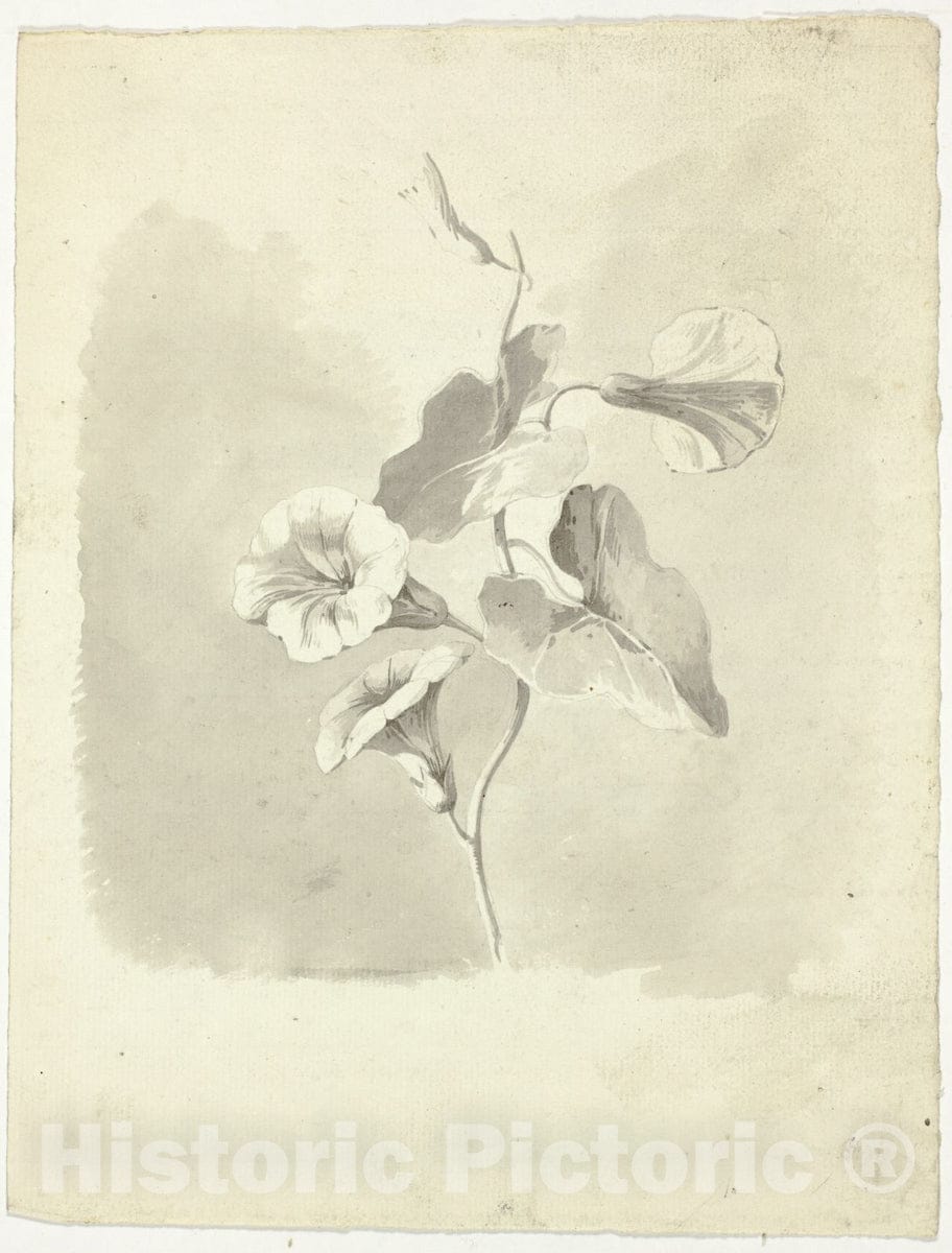 Dragable Image